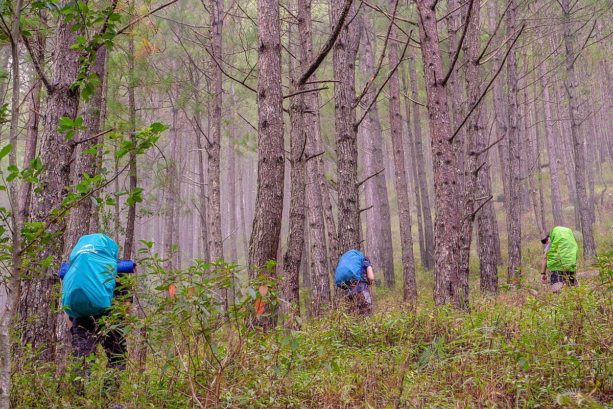 Akiki Trail