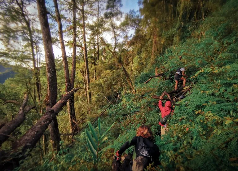 Tawangan Trail